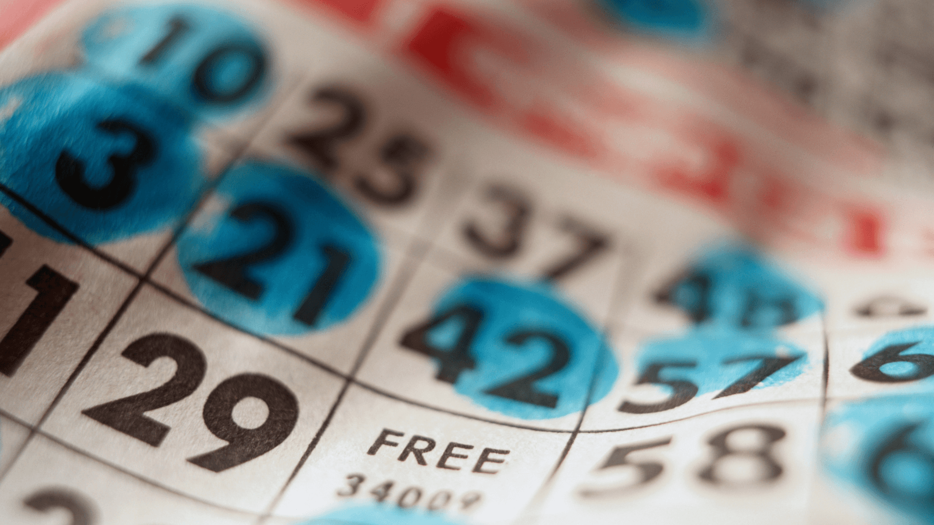 Kõik online bingokaartide ja kõnede kohta image