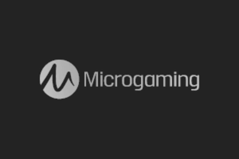 10 parimat Microgamingi Netikasiinot